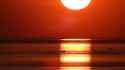 the sun_thumb.jpg