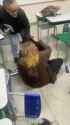 VID_20250809_161948 (1)_thumb.jpg
