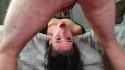 1698950914144969_thumb.jpg