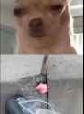G1L8D3gMEZI8ozp2_thumb.jpg