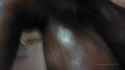 InShot_20250810_133455796_thumb.jpg