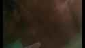 1754876699_thumb.jpg