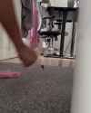 ladylottie - more playful than the cat_thumb.jpg