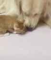 frens_thumb.jpg