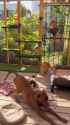 summer catio_thumb.jpg