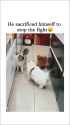 dog cats 4chan gif funn_thumb.jpg