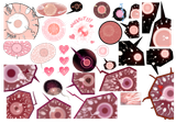 1572436649113