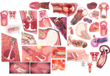 1572436607802