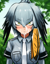 shoebill
