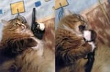 eating a bullet
