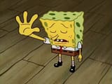 spongestop