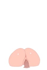 Krita