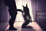 nagato silhouette test