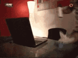 porn-masturbation