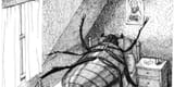 bug