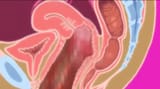 Thread 8669790 OP Image