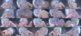 3b476186d8191cb823bde1c1452b3690