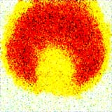 00003-2255431906