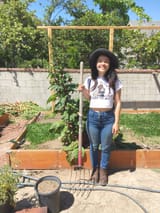 yhivi gardening