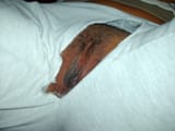 4545454