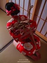 download (5)
