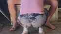milfy shed2_thumb.jpg