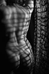 IMG06310x