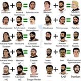 3414413_what-do-you-think-of-this-west-eurasian-ancestry-chart Europeans admixed mixed phenotypes drawings plate