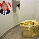 trump-toilet