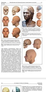 0 33dcw1kmwez71 Yamnaya Sintashta skulls reconstructions plate text