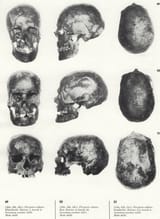 00 1717549853893790 Yamnaya skulls plate