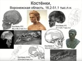 1574328694949 Cromagnons Kostenkis Kostenki14 Kostenki2 skulls reconstructions drawings plate
