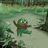 cozy swamp play