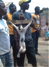 crucified_cat