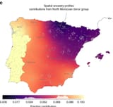 northmoroccan ancestry
