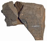 tel-dan-stele-1463215183