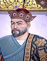 29628_amirtemur