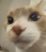 1748745935924955
