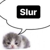 s-word