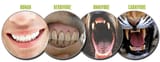 different-types-of-consumer-teeth