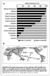 Koreans are the least smelly people on earth