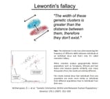 lewontins_fallacy