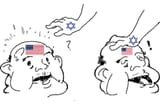 Amerimutt pet