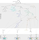 Admixture_graph_of_deep_Eurasian_lineages