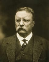 T_Roosevelt-hPBchb