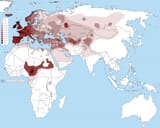 Haplogroup_R1b_World