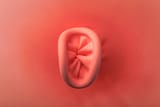 balloon_knot