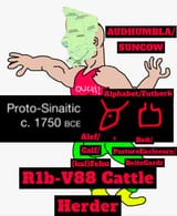 BeefDairySupremacy
