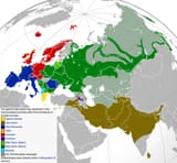IElanguage