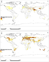 The-cultivated-area-of-irrigated-A-and-rainfed-B-wheat-an-overview-The-solid-brown